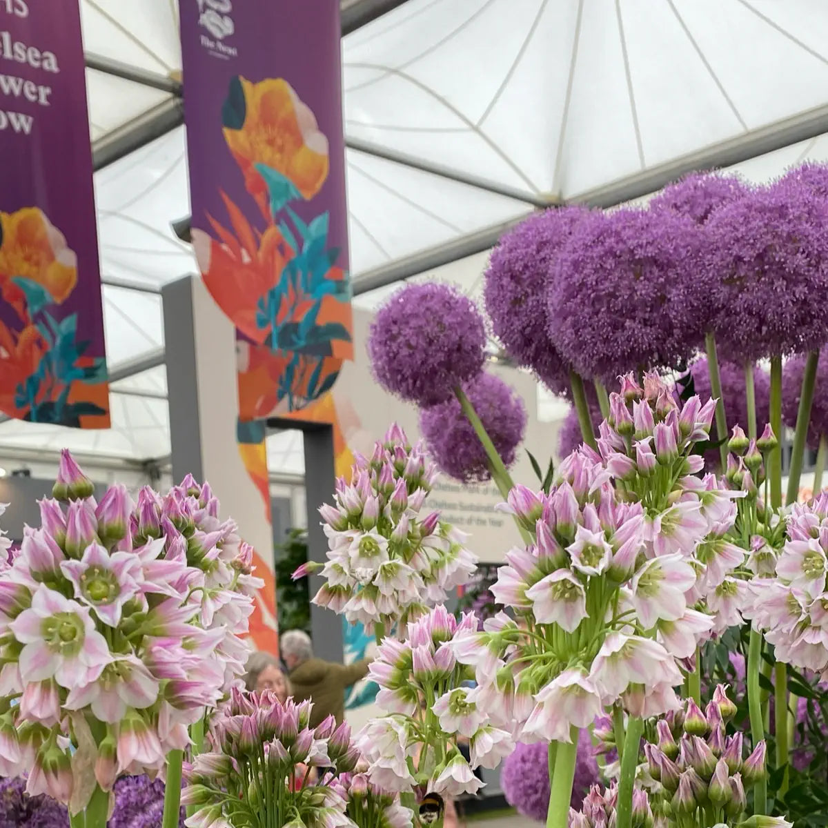 The Bespoke Sign House Sponsoring the C6 Garden At Chelsea Flower Show 2025