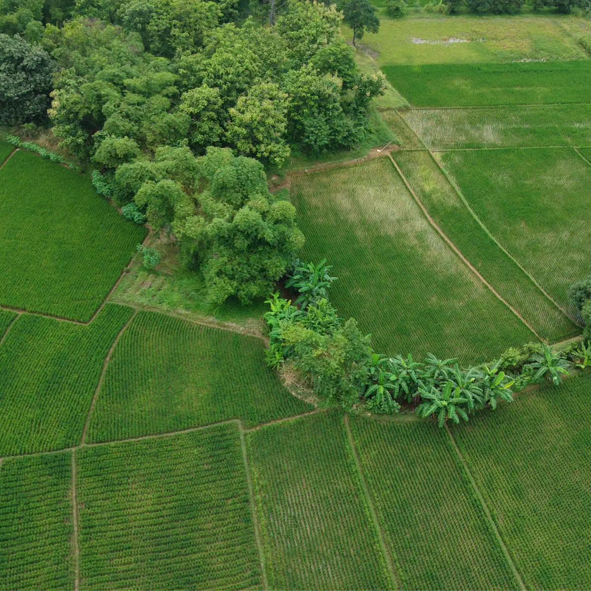 UK Land Ownership: Who Really Owns the UK?
