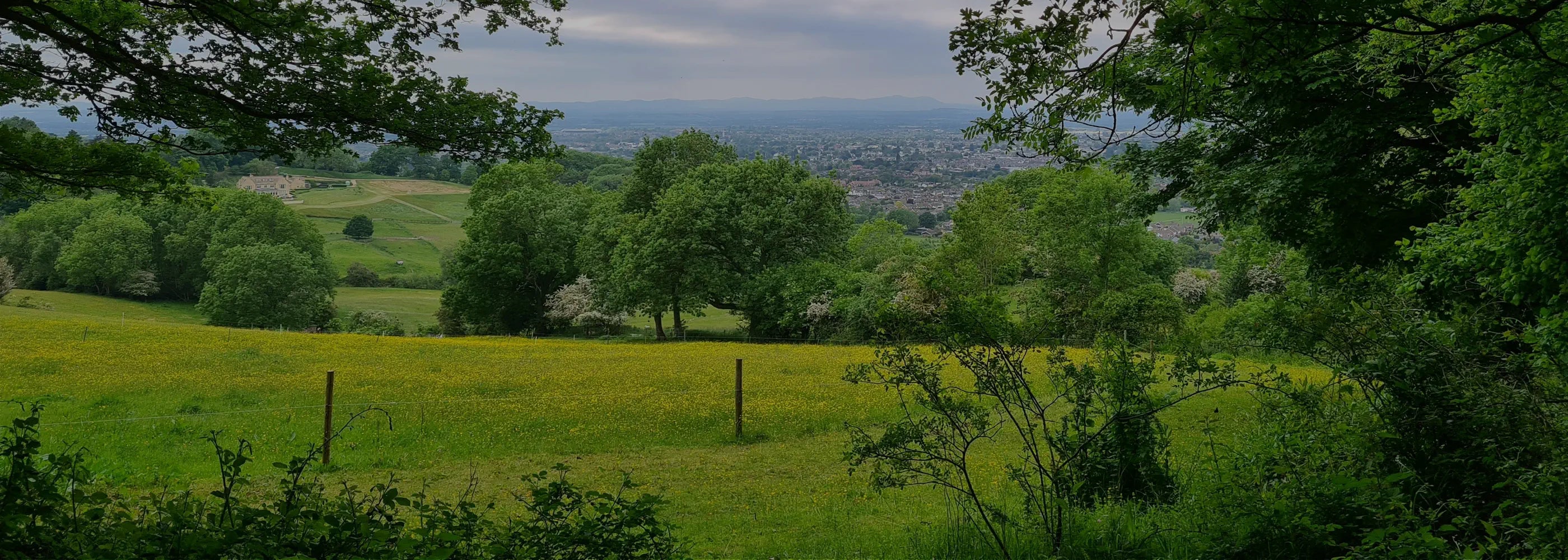 Lush green fields and trees with a distant view of a town.