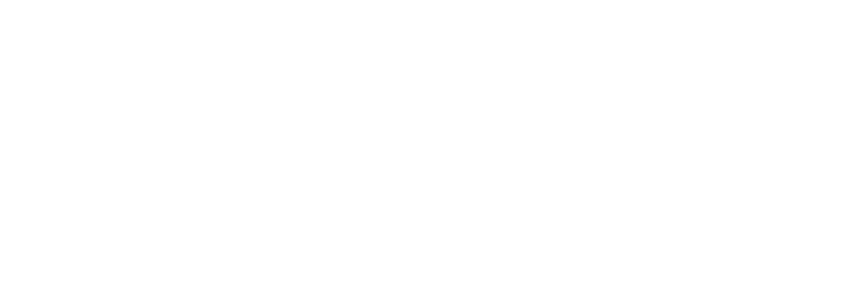 The Bespoke Sign House logo white