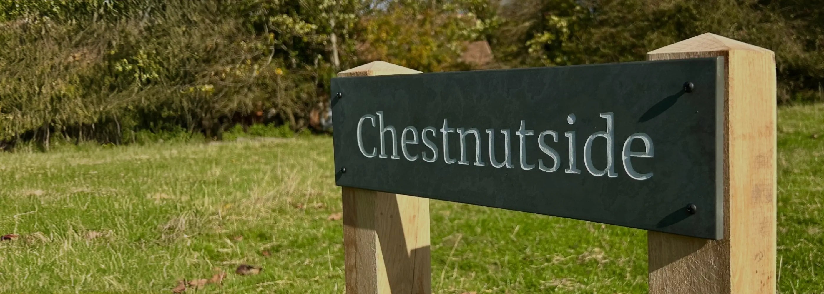Wooden signpost with 'Chestnutside' on a grassy field