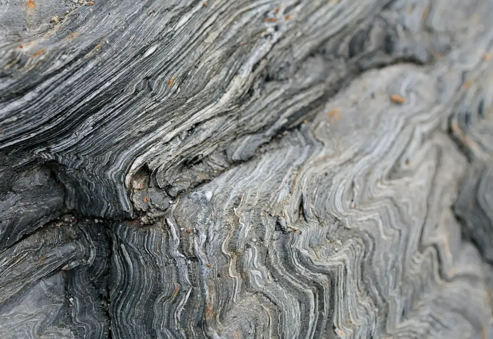 Close-up of layered rock with a wavy pattern