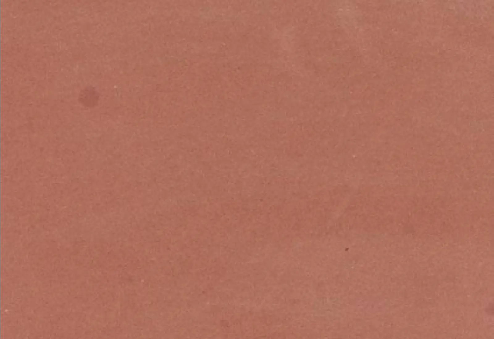 Close-up of textured brown surface