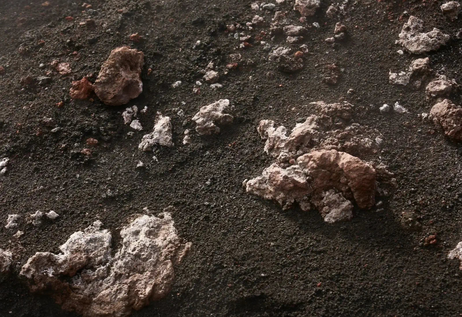 Close-up of dark soil with small rocks and minerals