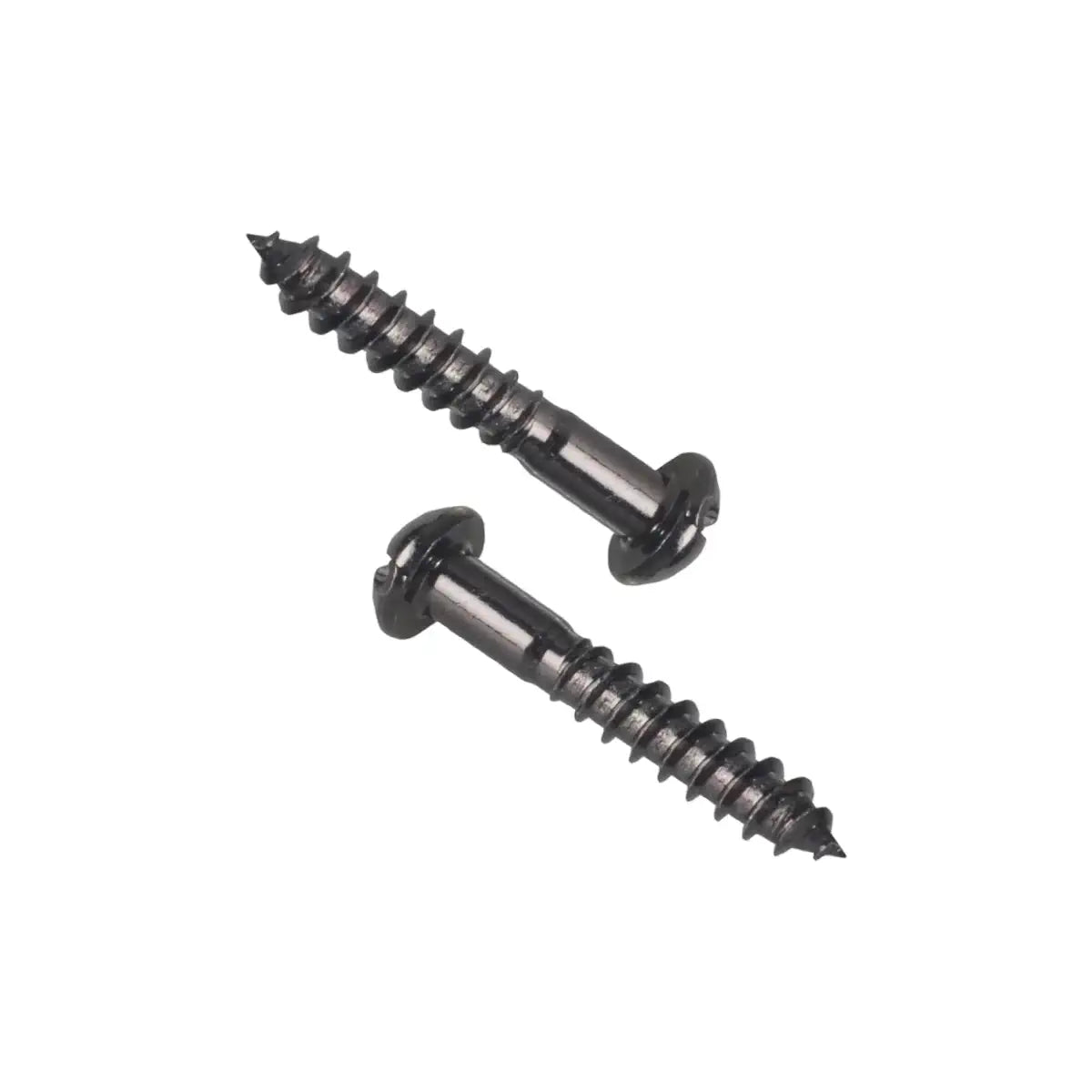 2 black roundhead phillips screws