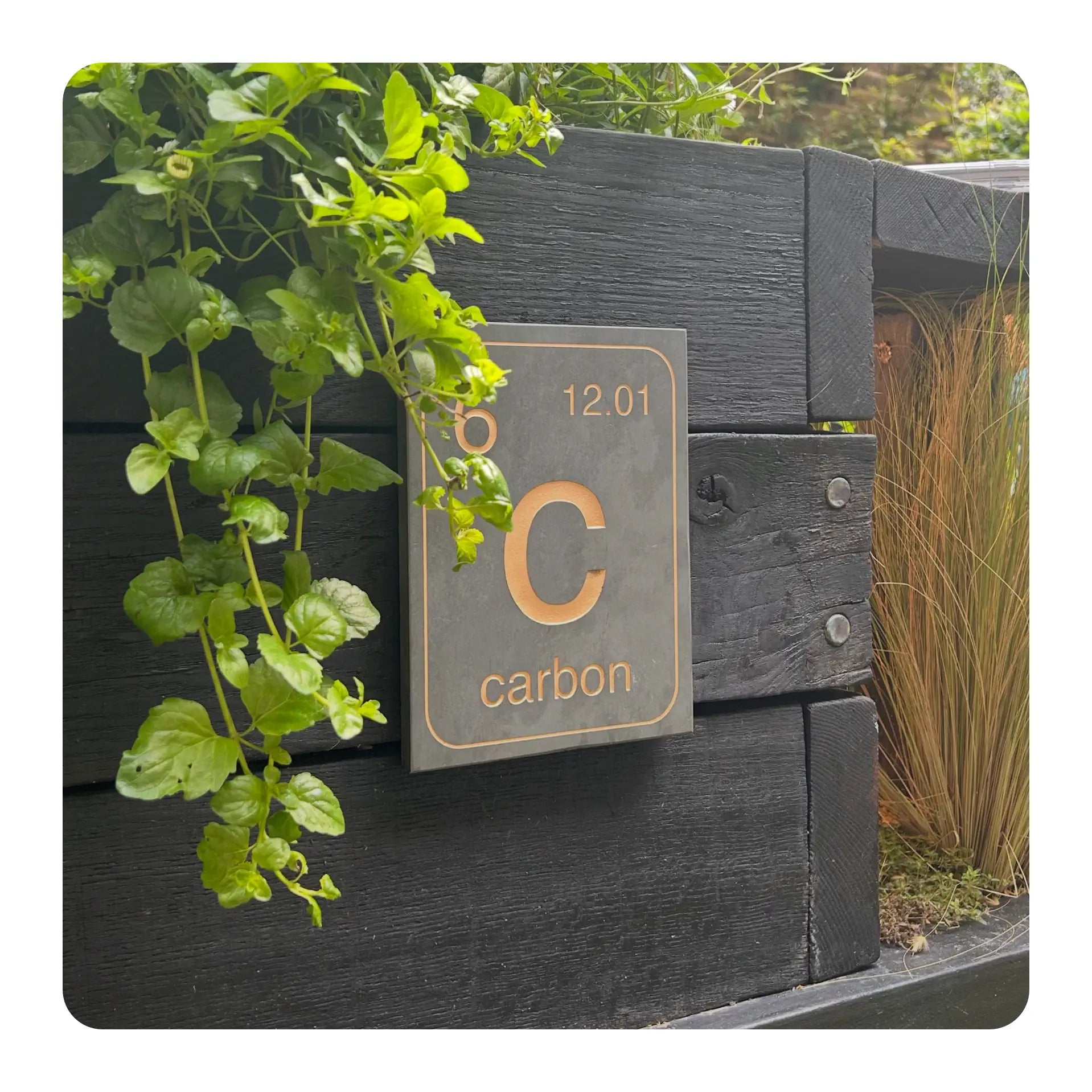 Periodic table element sign for carbon on a wooden background with plants