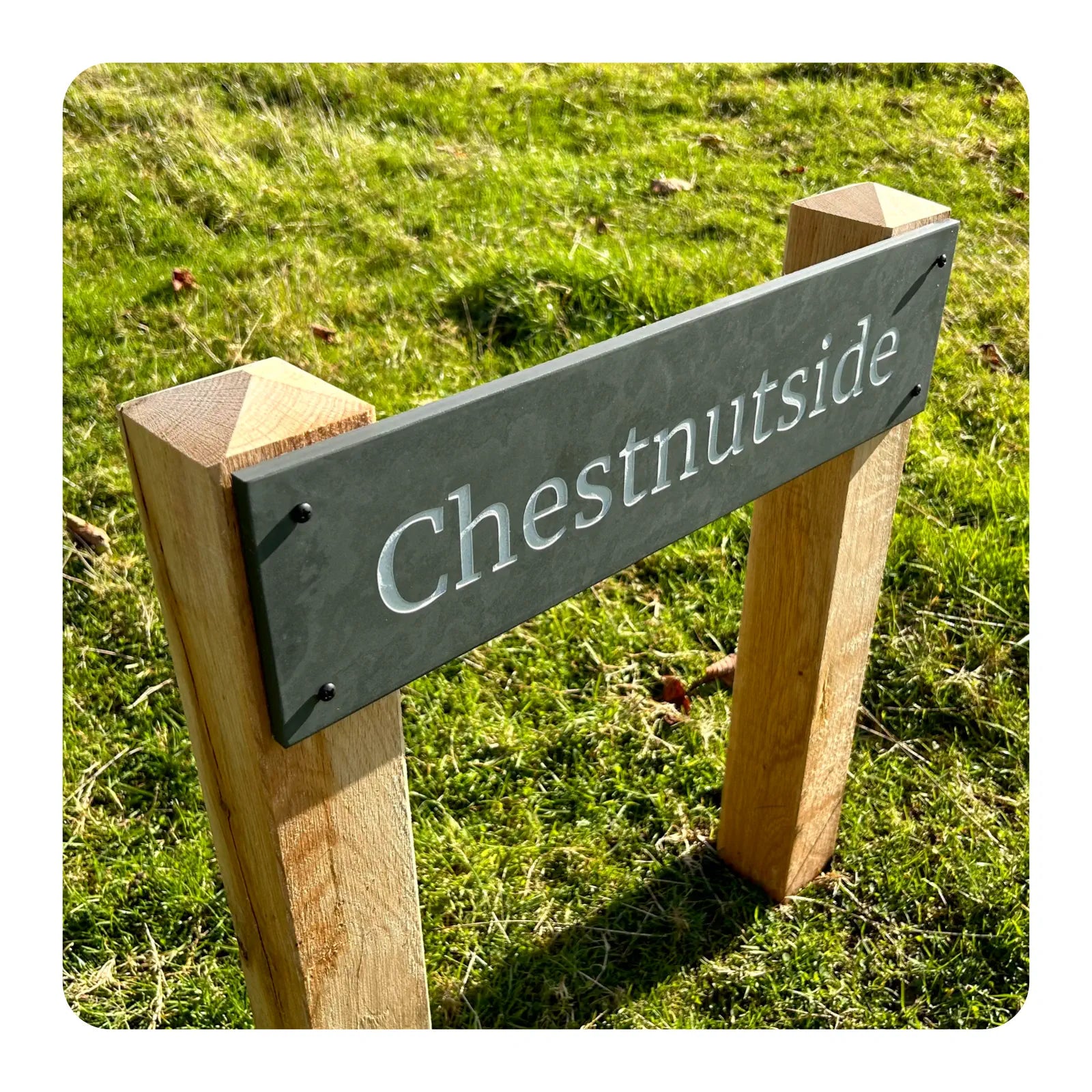 Wooden signpost with 'Chestnutside' on a grassy background