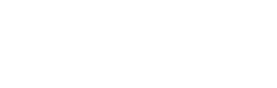 logo in white