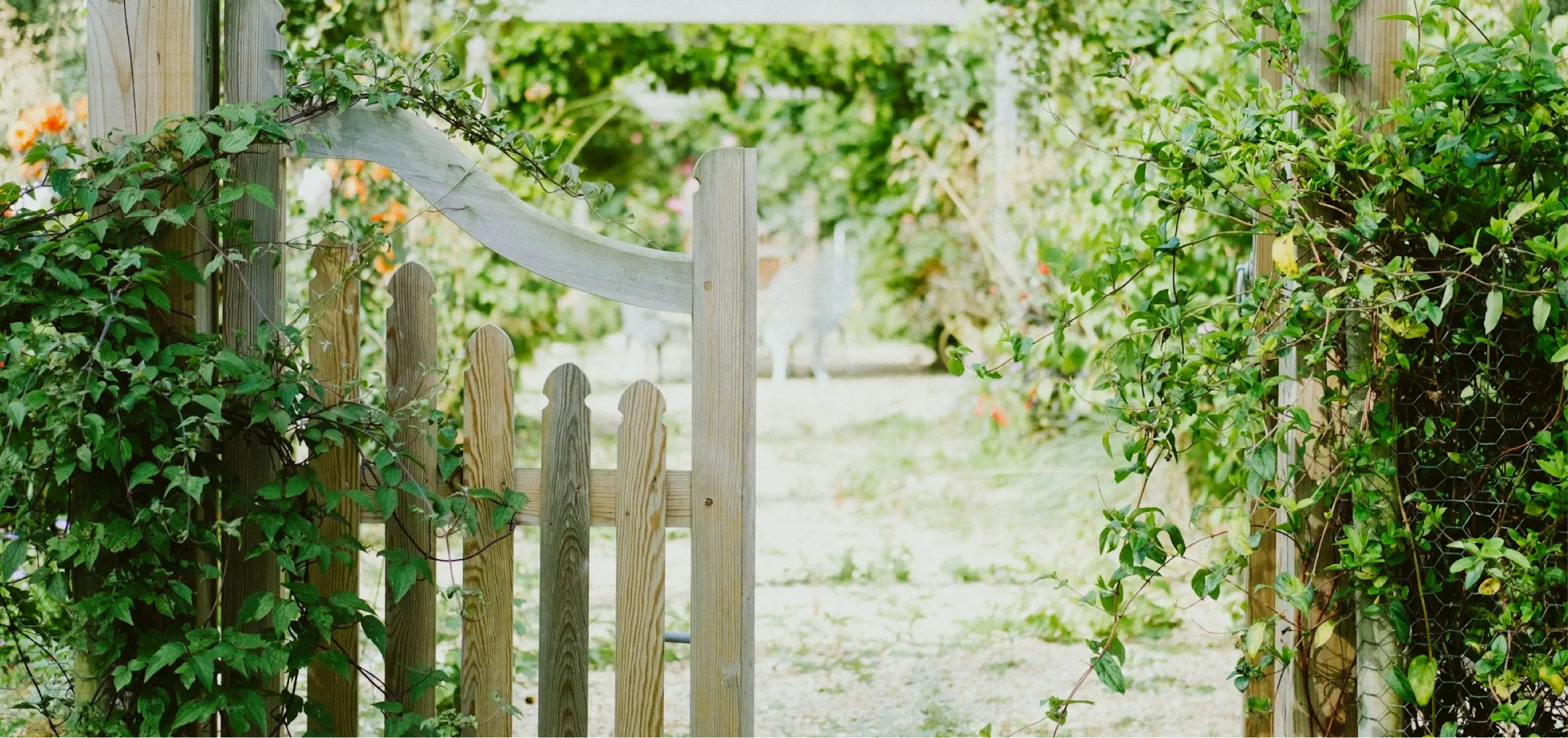 A rustic wooden garden gate surrounded by lush greenery and climbing vines. The gate, made of light, weathered wood, leads to a bright garden space with blurred hints of flowers and foliage in the background. Soft sunlight bathes the scene, highlighting the natural textures and creating a peaceful, inviting atmosphere.