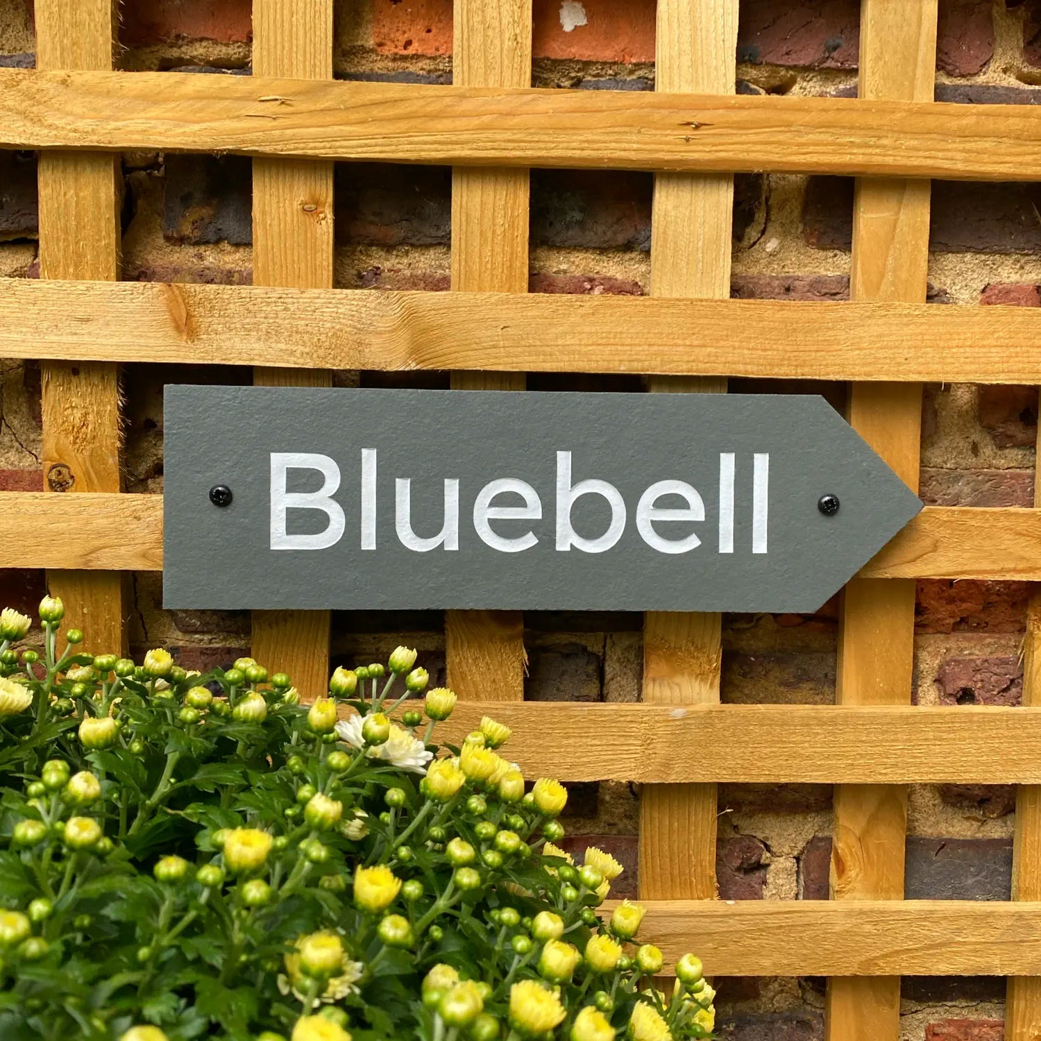 a slate sign on a wooden trellis with the wording Bluebell engraved into the slate surface and painted white