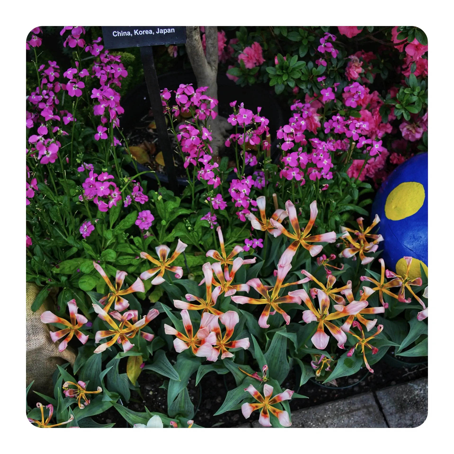 Floral arrangement with pink and orange flowers in a garden setting