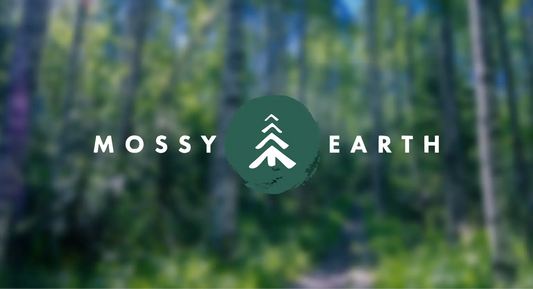 Mossy Earth logo over a blurred background of a birch forest