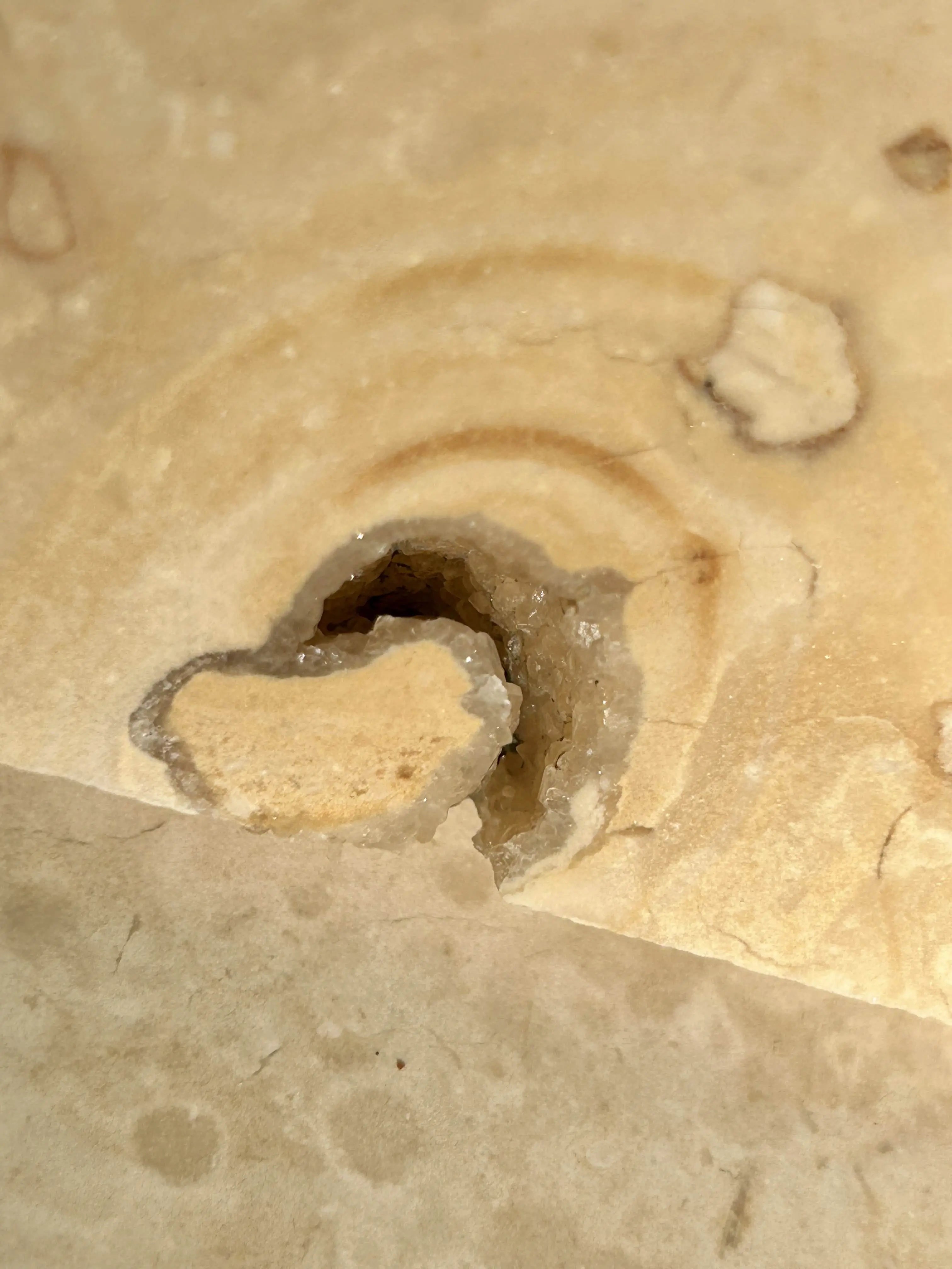 A calcite crystal in limestone