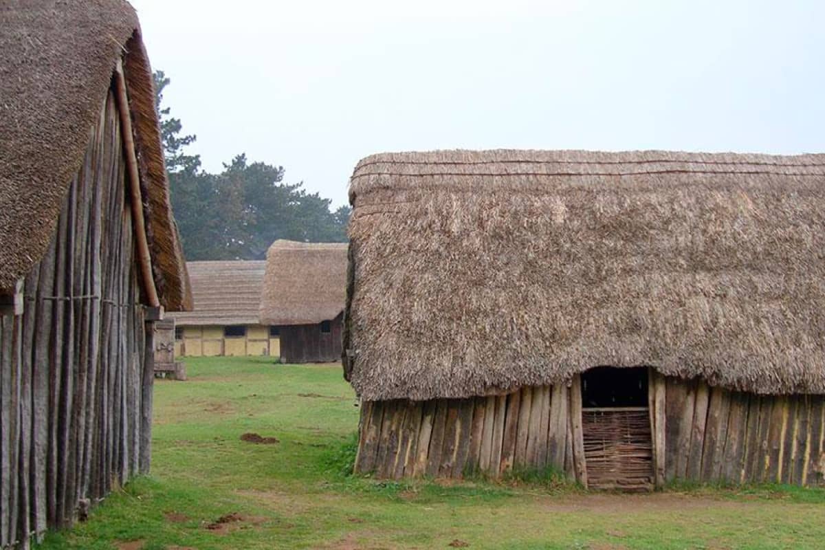 (An example of a Saxon settlement with thatched roofs.)
