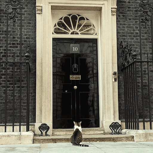 an ai generated image of number 10 downing street with a slate number sign screwed onto a black door