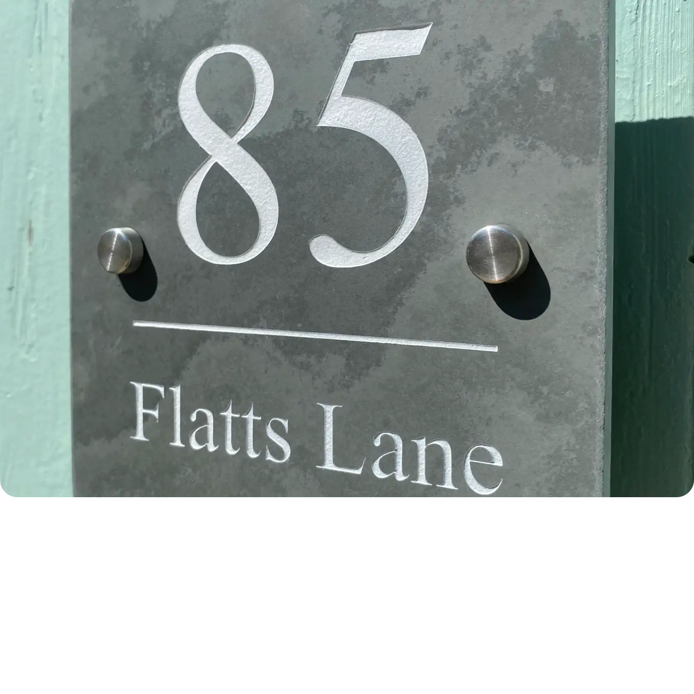 Set of screws and anchors on a light gray background