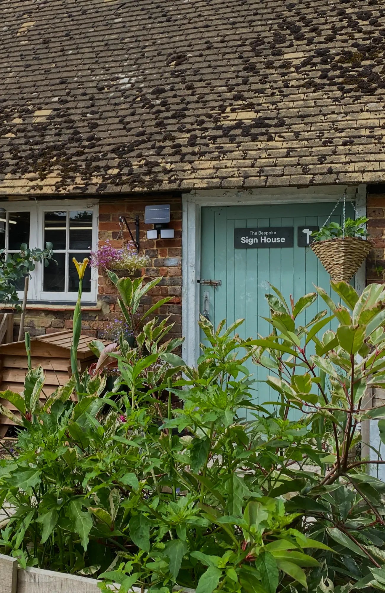 Green door of a building with plants in the foreground