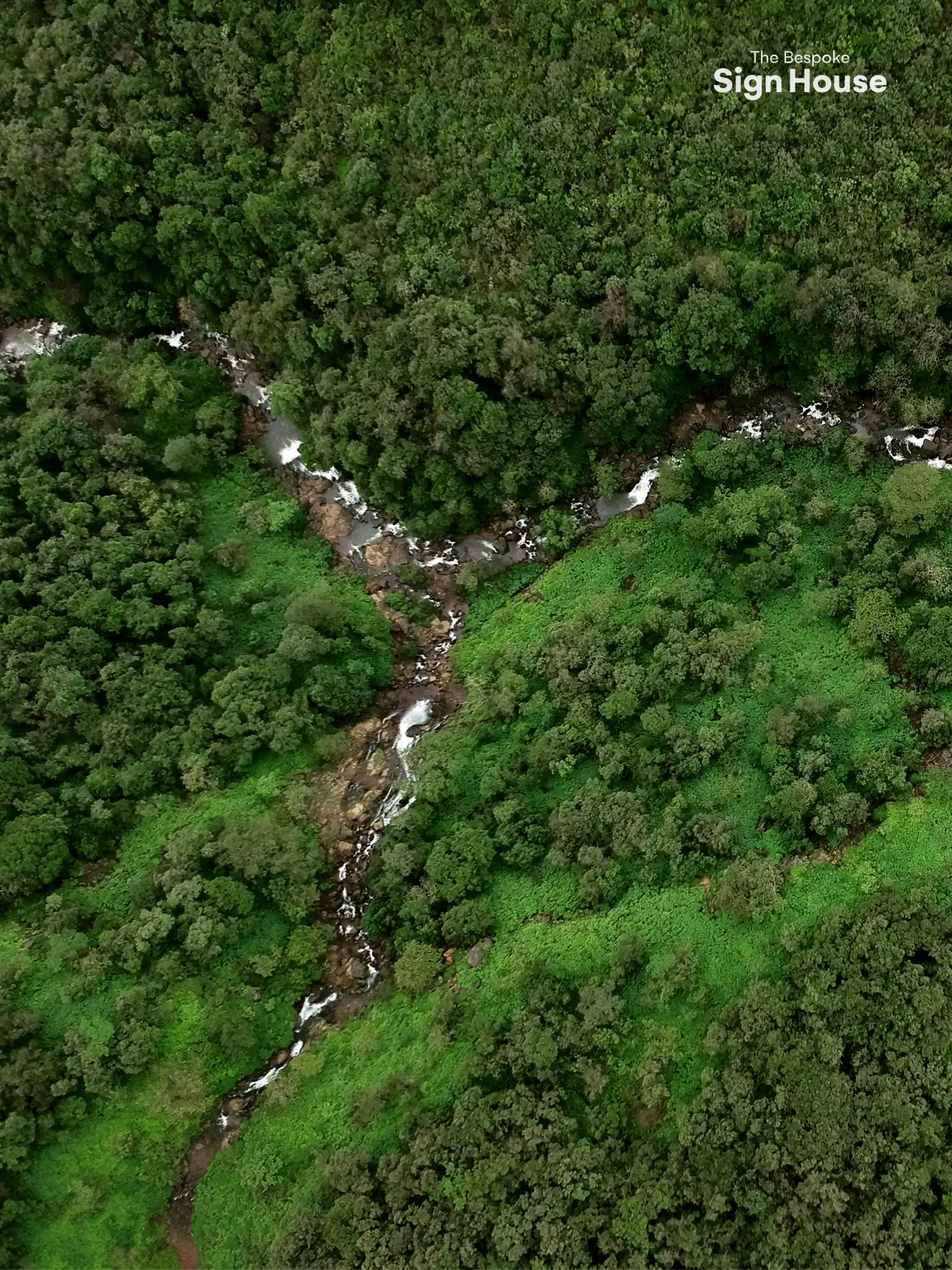 “Aerial view of a lush green forest with a winding river tributary cutting through the dense foliage.”