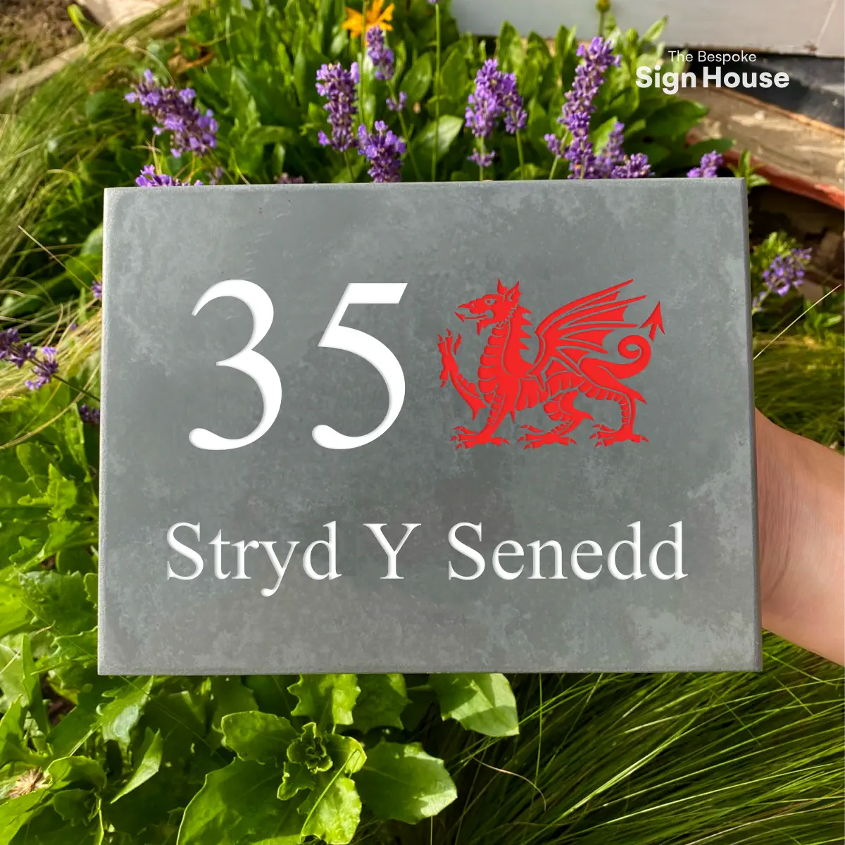 slate house sign with house number, street name and red welsh dragon. The backdrop is of green and purple flowers