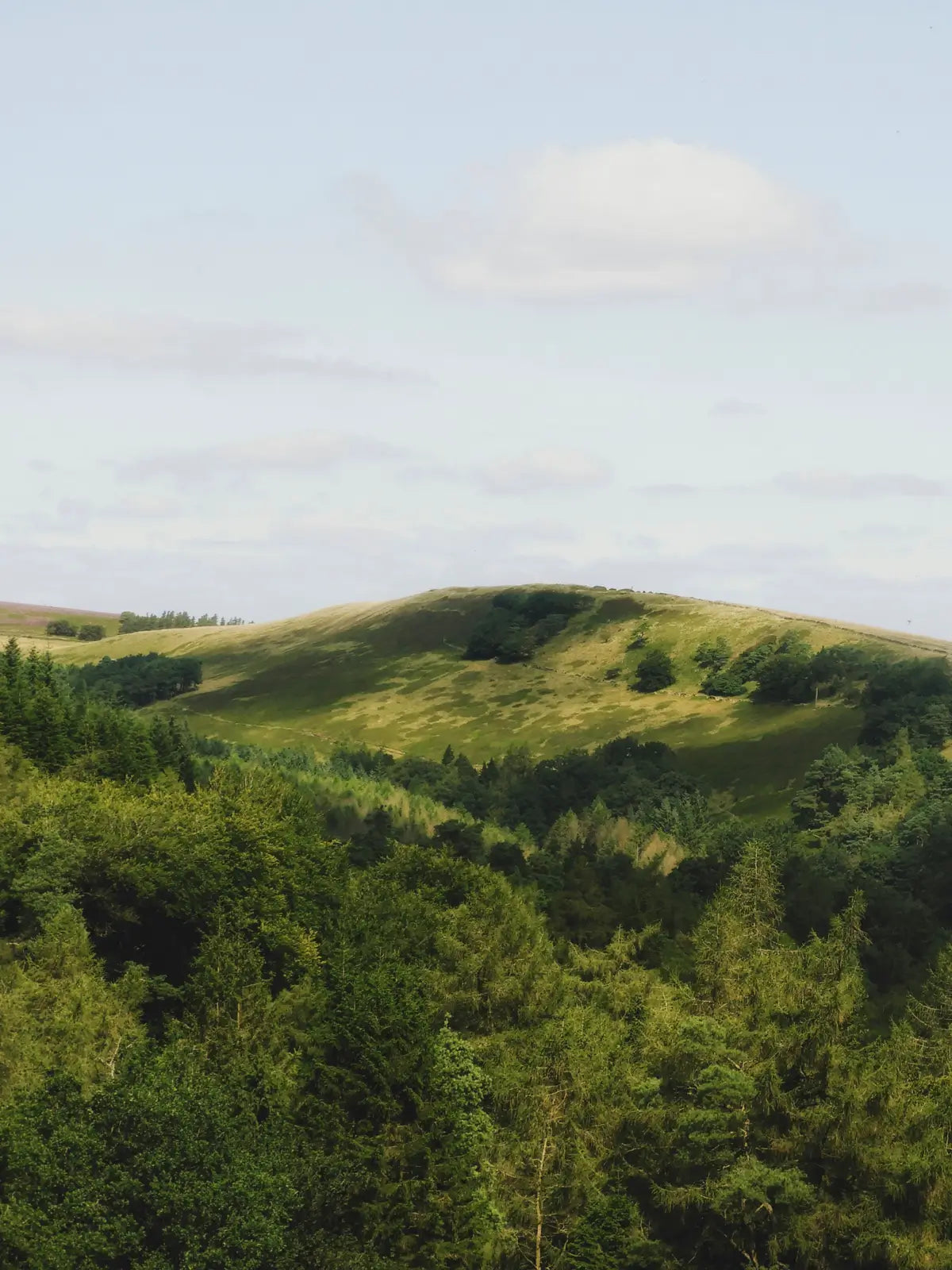 A scenic view of a lush, green landscape in the UK, featuring rolling hills and dense forests under a partly cloudy sky. The scene conveys the natural beauty and expansive greenery of the countryside.\