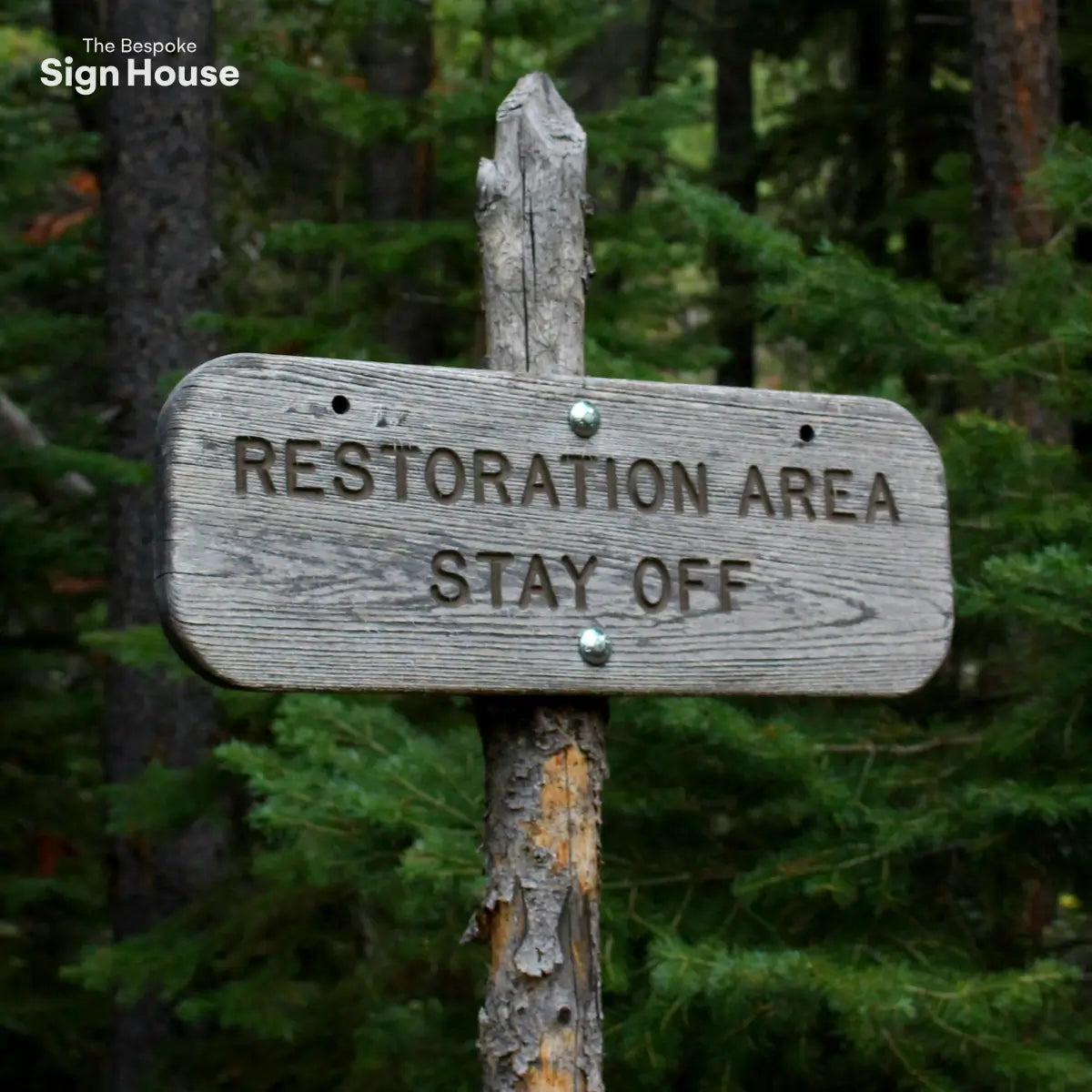 A wooden sign on a post reads, "Restoration Area Stay Off," surrounded by trees.